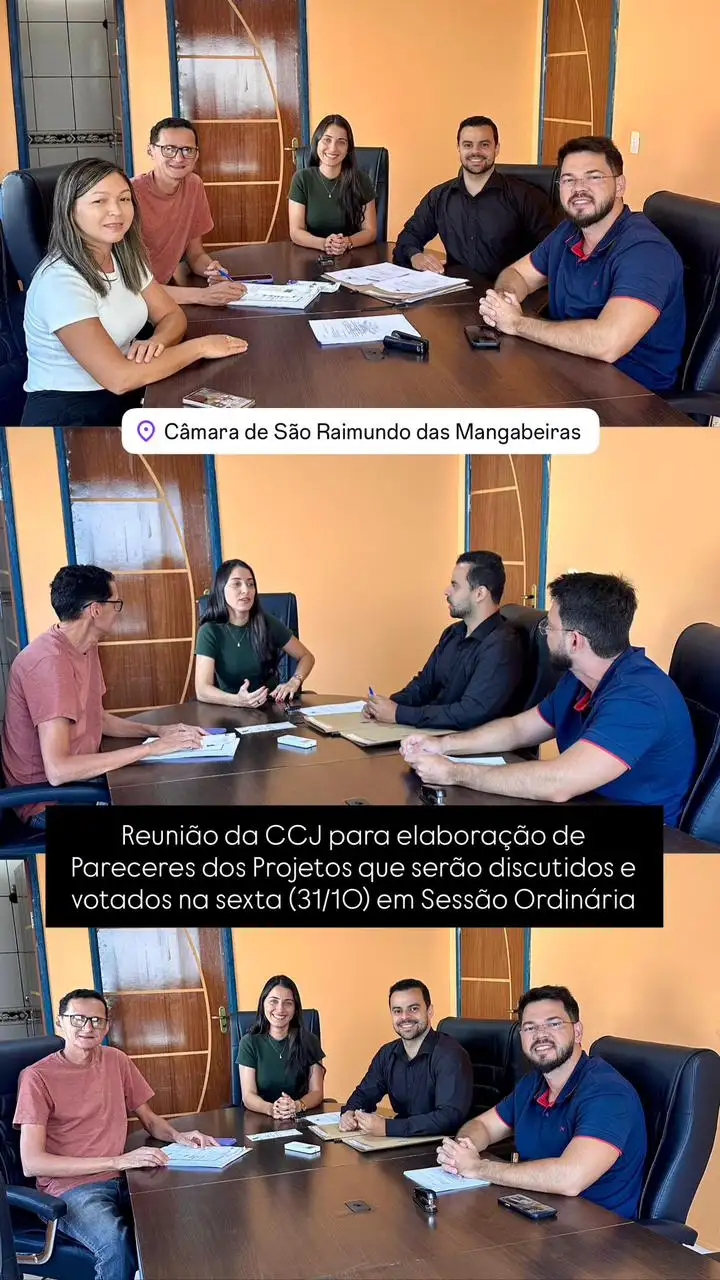 Vereadores da CCJ se reúnem para analisar projetos que serão votados na sessão do dia 31